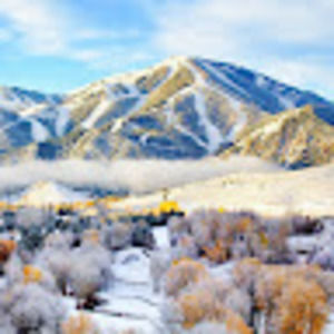 Meet your Posher, Jack